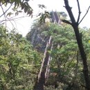 곡성-138 Daum카페