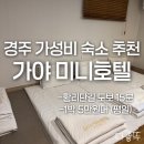가야미니호텔 | 경주 가성비 호텔 가야미니호텔｜패밀리 온돌방, 황리단길 도보 15분