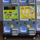캑티 | 왕십리역 캑티 가챠샵 후기