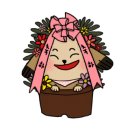 강아지 미용실 이미지