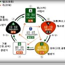 음양오행 - 오행으로 본 음식물 소화 흡수에서 부터 생명력 기운을 만드는 과정 이미지