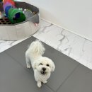 오늘의 개스트 이미지