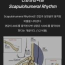 짐360+ 이미지