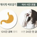 백프로짐 이미지