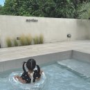 스테이묘해 이미지