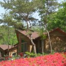 제4구경길 건봉사 유적지탐방길 | 수도권에서 1시간 반, 3만원대 숙박으로 벚꽃과 역사 탐방까지 즐기는 서산 숲 힐링 여행지