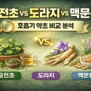 금전초 vs 도라지 vs 맥문동 호흡기 약초, 무엇이 어떻게 다를까? 이미지