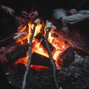 강서골드공인중개사사무소 이미지