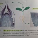 현대가축약품 이미지