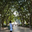 주수공원 화장실 | [임신일기]16주 17주 호주 시드니 태교여행 셀프스냅사진 후기