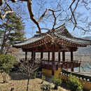 용평동 용호정 | 밀양 용호정(密陽 龍湖亭)