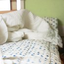 쁘띠 프로방스 이미지