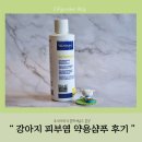 제품) 내돈내산 버박 케토클로 샴푸,강아지 약용샴푸 후기