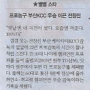 스포츠/ 이빨 뺀 호랑이 감독 “요즘엔 선수한테 져주죠, 100%”/ ★별별 스타/ 프로농구 부산KCC 우승 이끈 전창진(민중이 깨어나 이미지