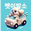 똥개언니 이미지