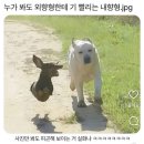 선반내주유소 | 6월제주가볼만한곳 추천 ㅣ 제주도민의 서귀포여행 추천지 ㅣ서귀포게하추천
