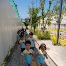 누나 노래연습장 이미지