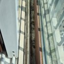 온양3동 모종로22번길 | 🧼 아산 모종 캐슬어울림 1단지 아파트유리창 청소 후기 ✨