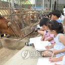 이종범농장 이미지