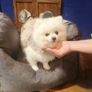 러피네일