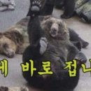 스튜디오두래