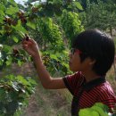 상윤농장 이미지