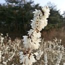 미선축산 이미지