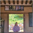 (주)고려비엔피 | 서산 유기방가옥 수선화 지금이 절정 ｜충남 봄꽃 명소 추천