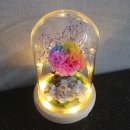 늘솜아토_프리저브드카네이션 LED 유리돔 / 카네이션선물