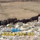 장정숙농장 티스토리