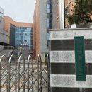 배곧해솔중학교 | [진로특강] 경기도 시흥시 배곧해솔중 1학년, 국제무대 진출하기, 진로특강 후기