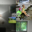 단양펜션소백스테이 이미지