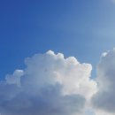 에일린게스트하우스 이미지