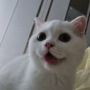 365일박사약국 이미지