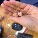 굿모닝보청기 평택서정센터 이미지