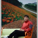 아우라지역 이미지