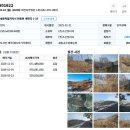 연동초교 이미지