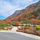 운문골마실길 이미지