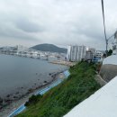 현대건설아파트 (건너) 이미지