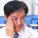 김용남 낙선의 시발점. 이미지