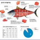 참치의味