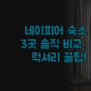 아르데코모텔 | 네이피어 여행 숙소 가이드 | 실제 후기 3곳 솔직 비교 분석 | 바다뷰 친환경 호텔 럭셔리 호텔 | 위치...