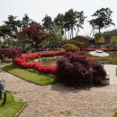 폰타나리조트 이미지