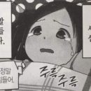 전국도감완성