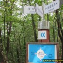 분당-130 이미지