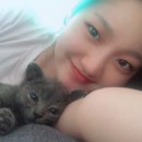 멍멍냐옹동물병원 이미지