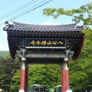 선본사 - 1782 | 선본사