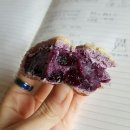 호반블루베리