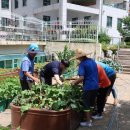 한국구화학교 이미지