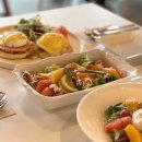 화이트 스프링(WHITE SPRING) 이미지